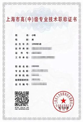 職稱證書(shū)丟了怎么辦？手把手教你申領(lǐng)上海電子證書(shū)